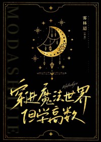穿进魔法世界，但学稿数